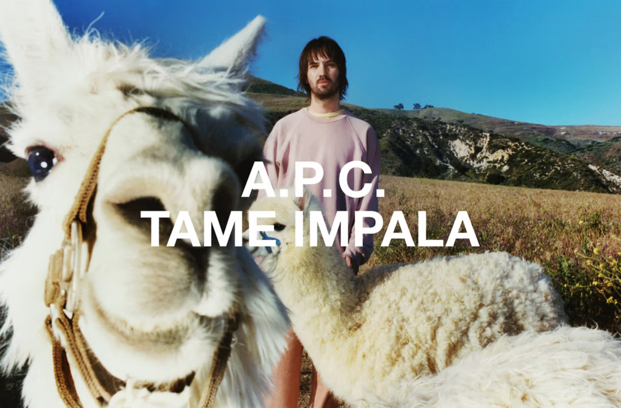 TAME IMPALA x A.P.C. Launch 'Interaction #25' Capsule Collection